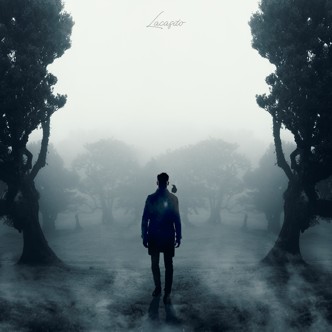 Entre Sombras y Sueños