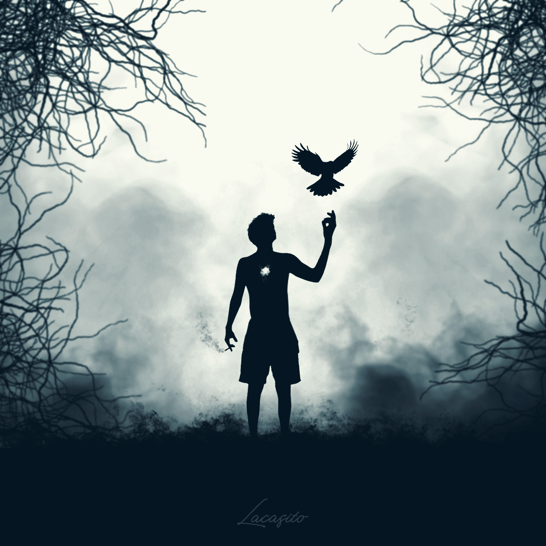 El Rumbo de las Sombras