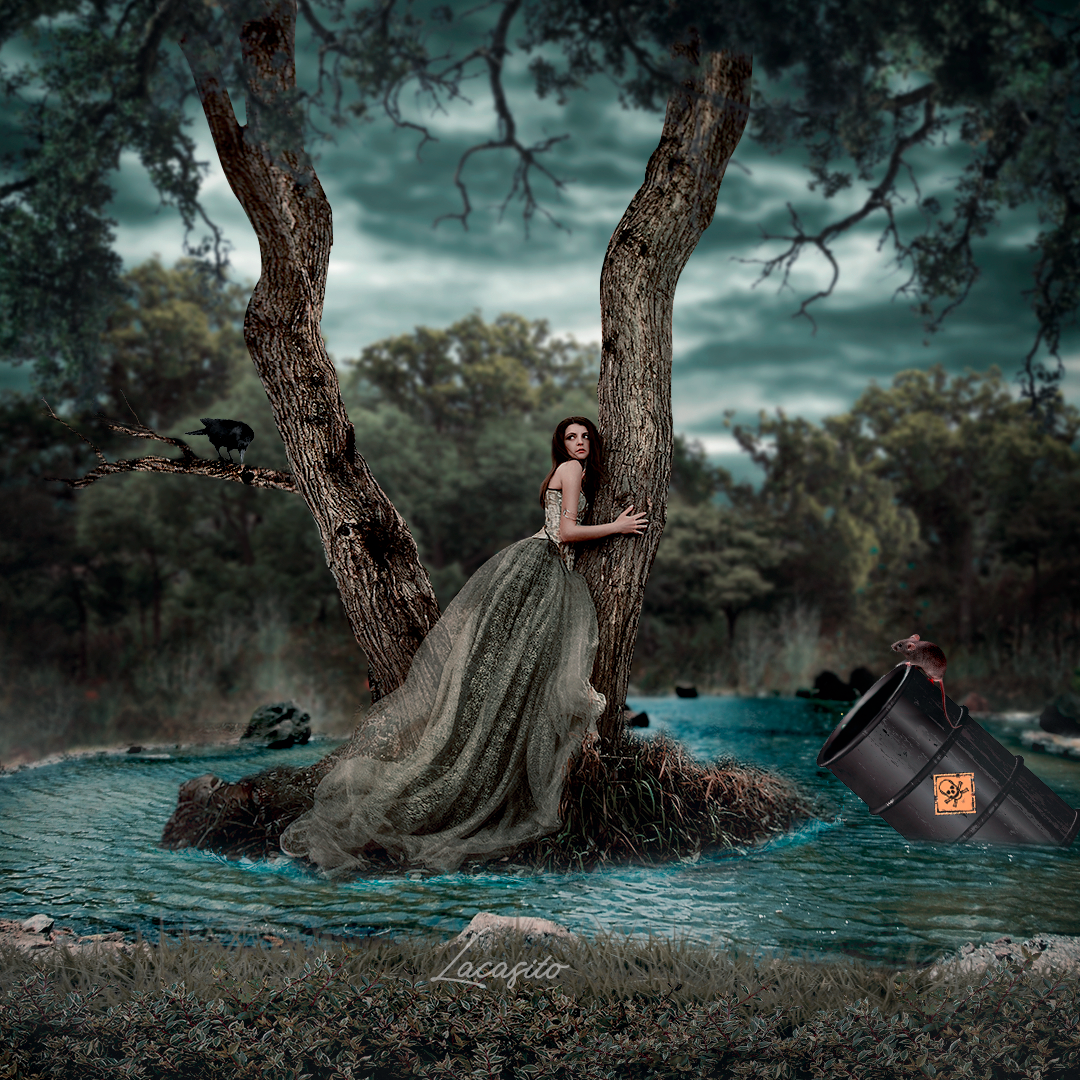 Un Bosque de Veneno.