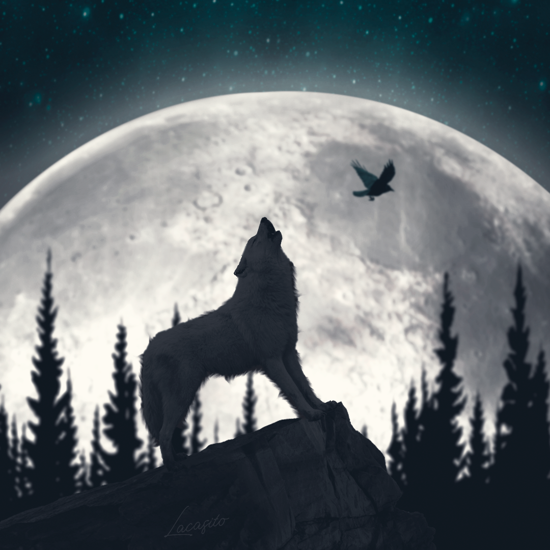 Noche de Luz de Luna
