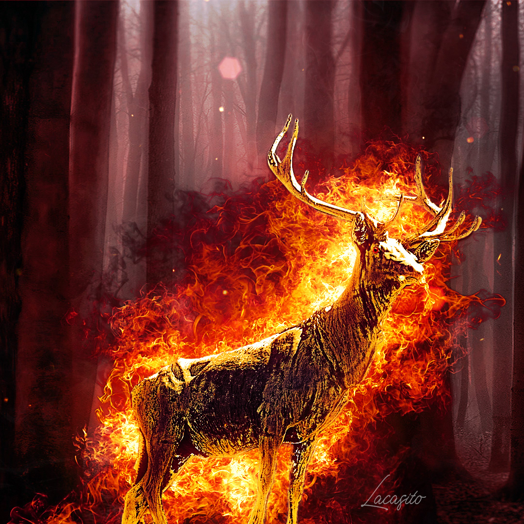 El Ciervo del Fuego