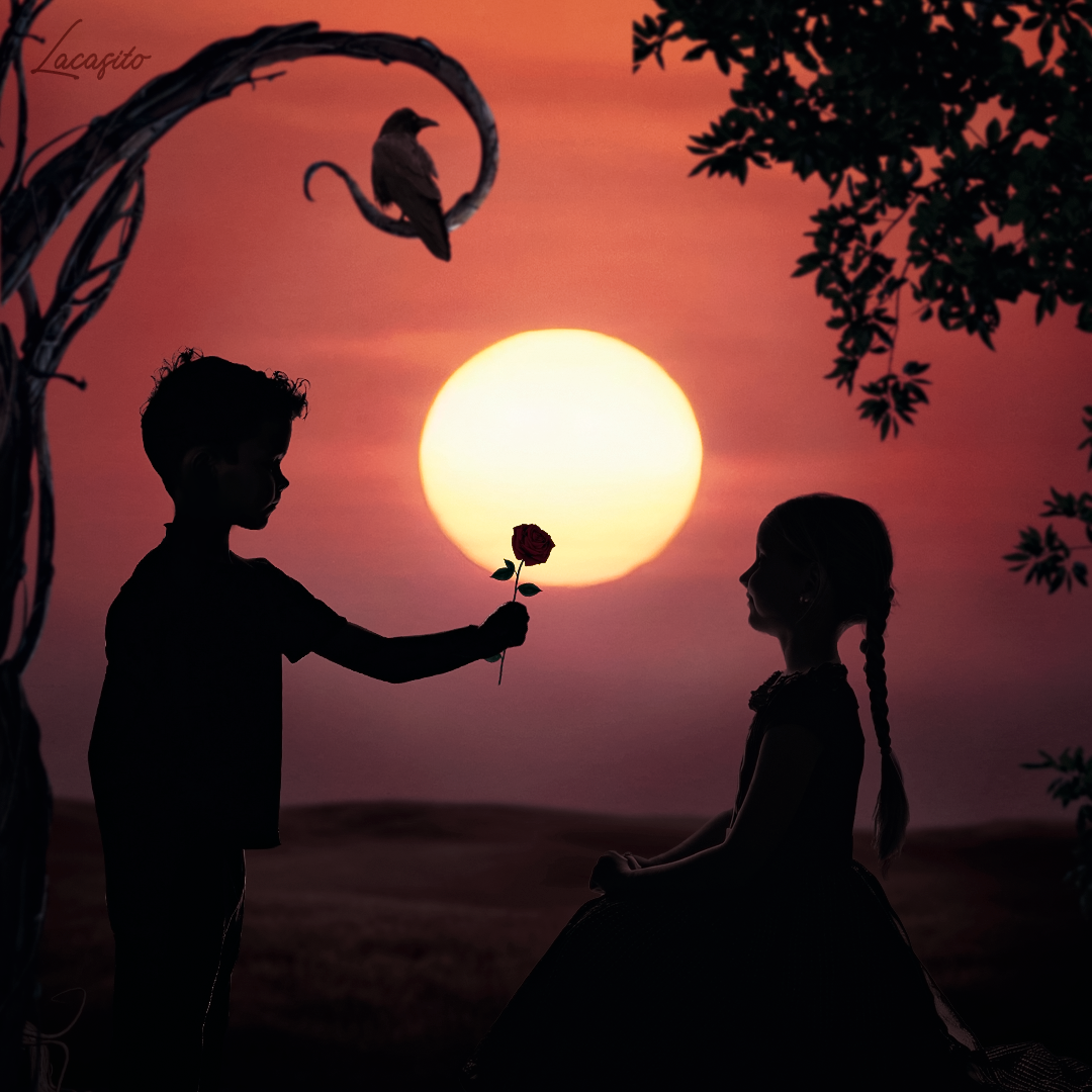 Atardecer entre Rosas y Raíces