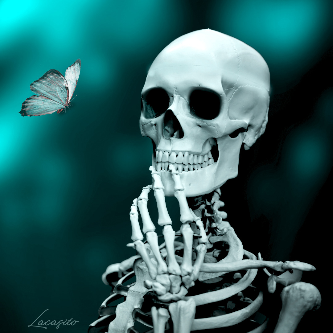 La Vida y la Muerte