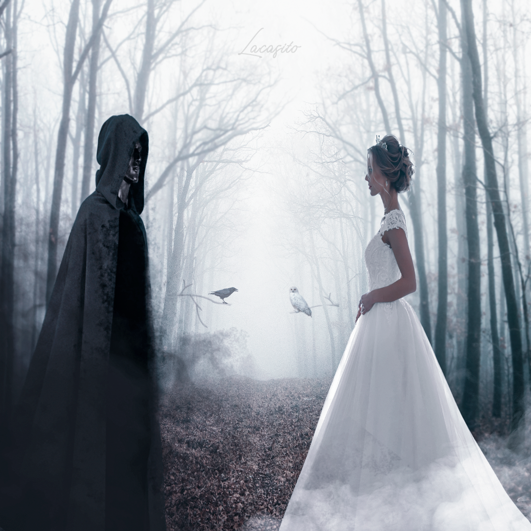 Encuentro en el Bosque