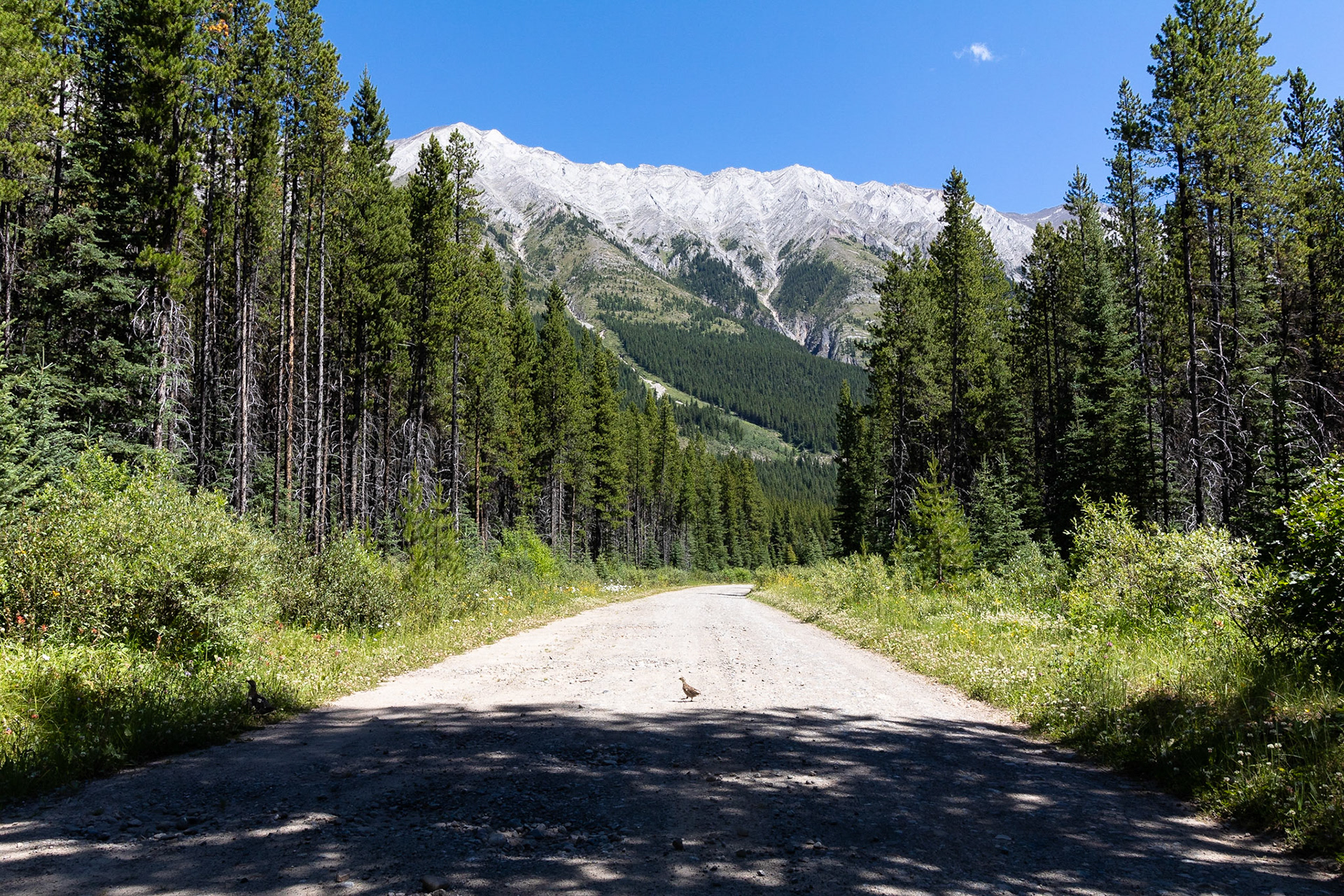Mount Sarrail Campground > Blue Lake Recreation Site