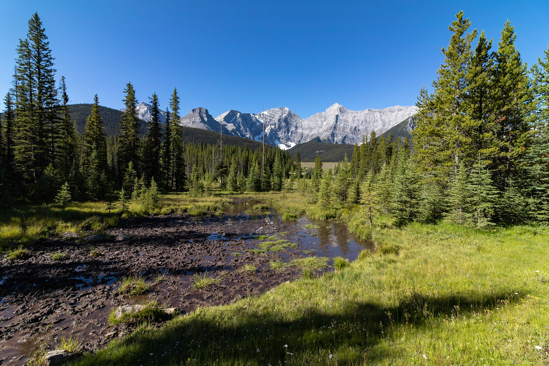 Mount Sarrail Campground > Blue Lake Recreation Site