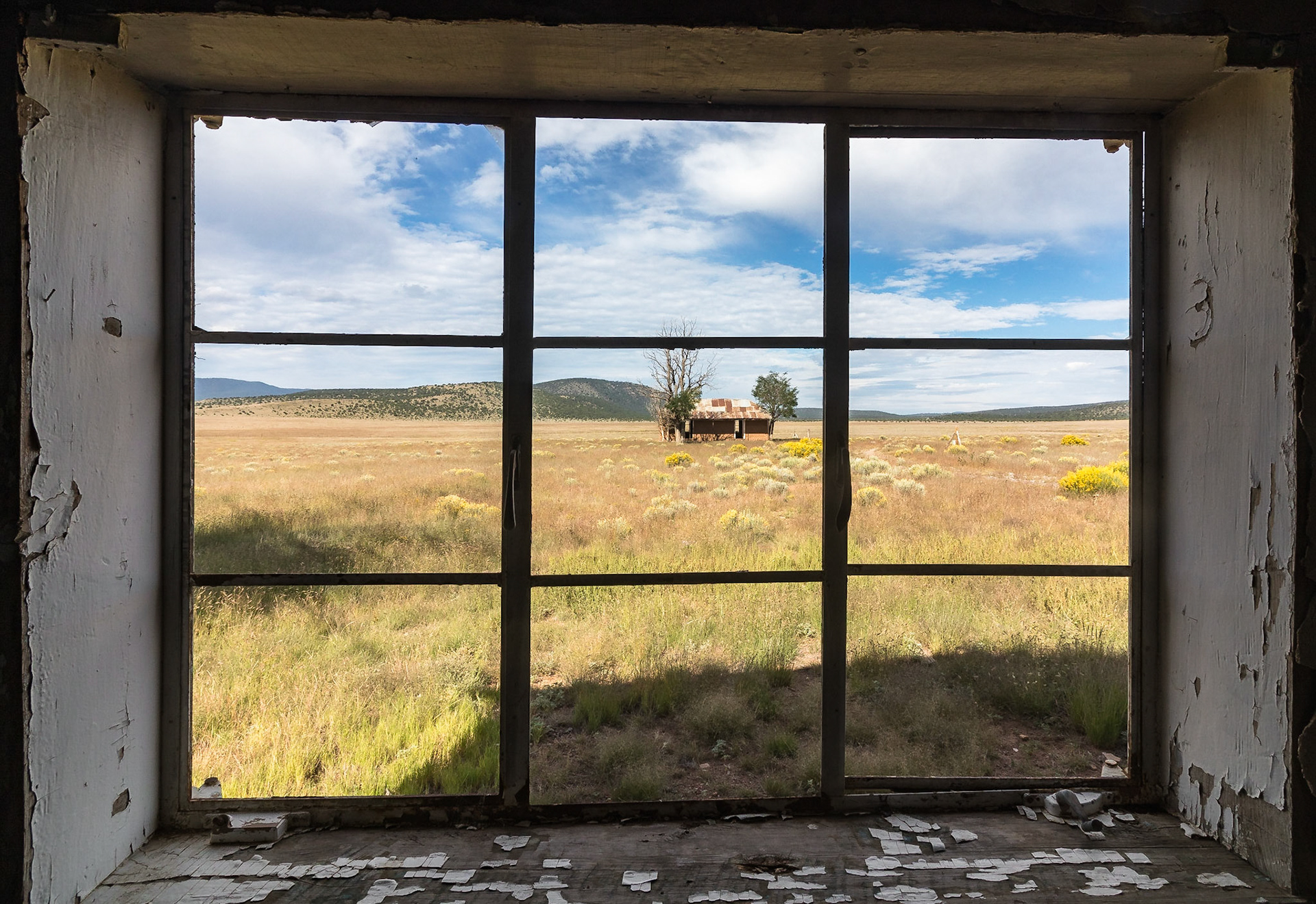 Room with a view
