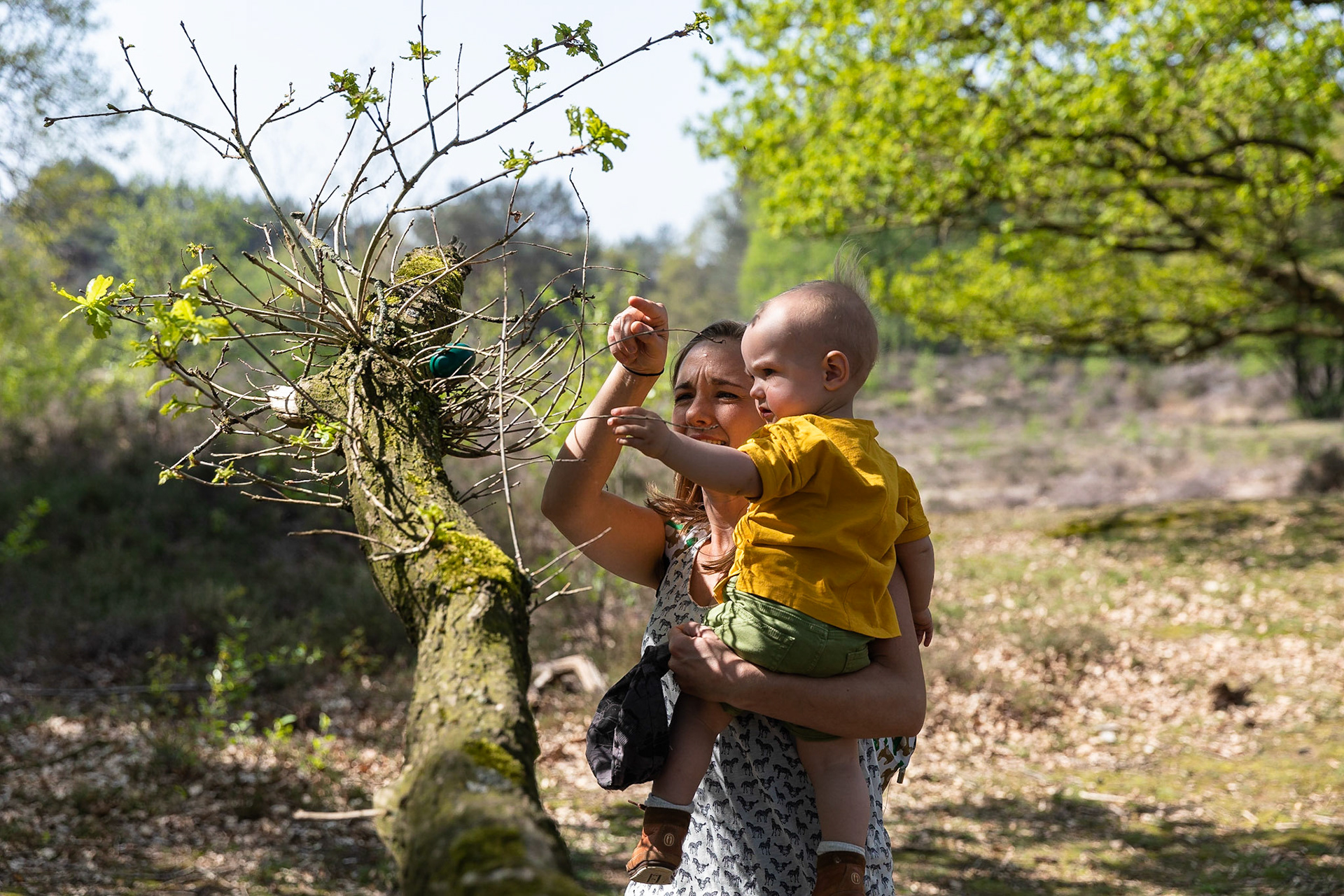 Paaseieren zoeken 2019