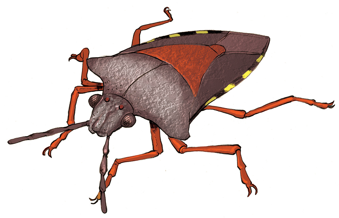 Insectarium de Montréal