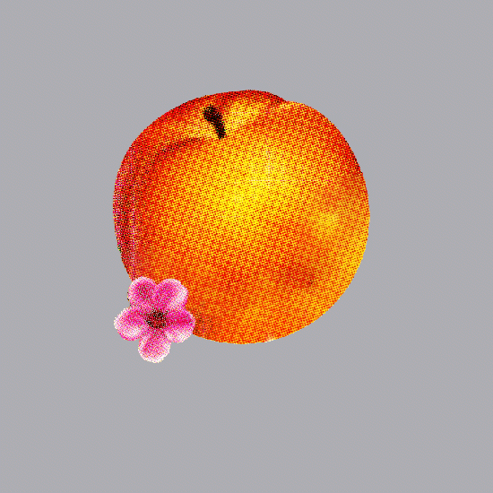 ORIGINAL IMAGE CREDIT: Phoenix, Bankrupt!