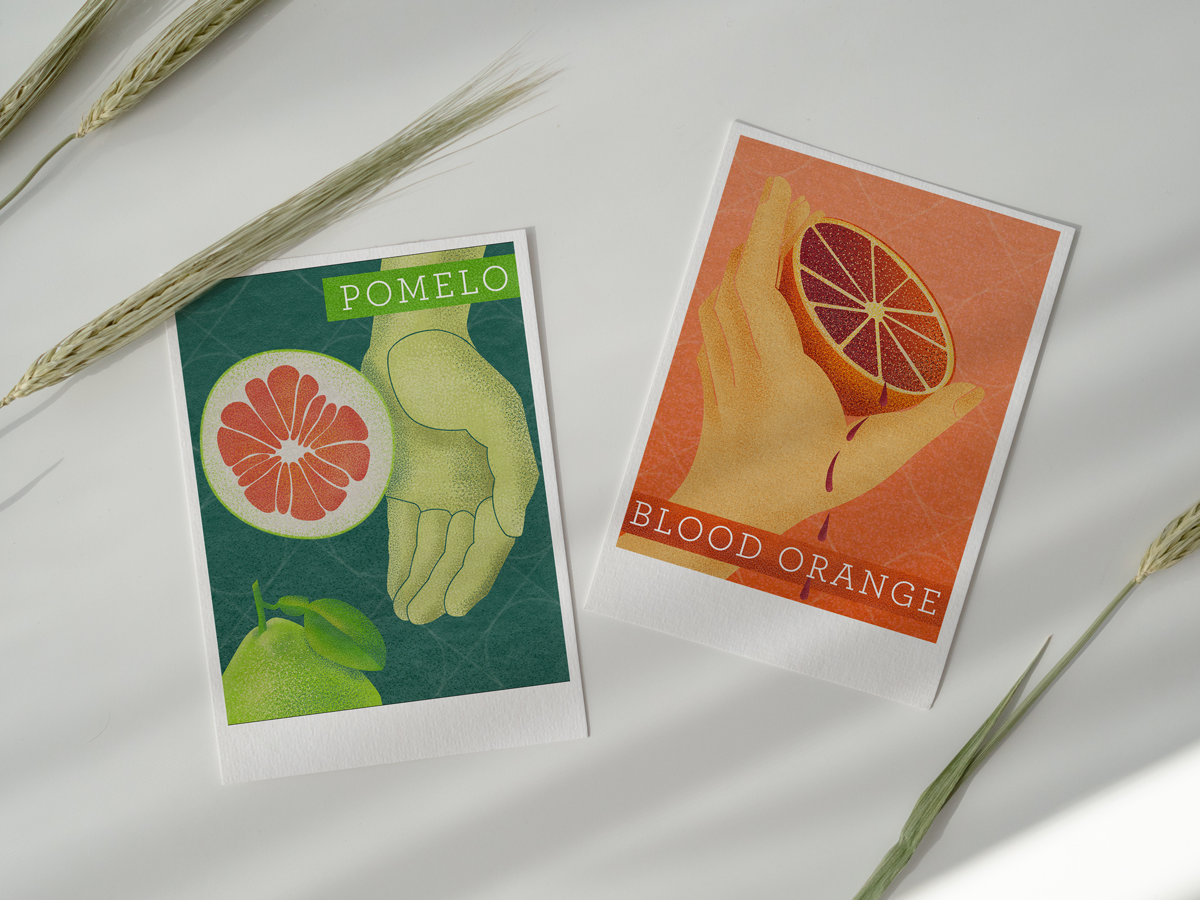 Illustration for pomelo and blood orange