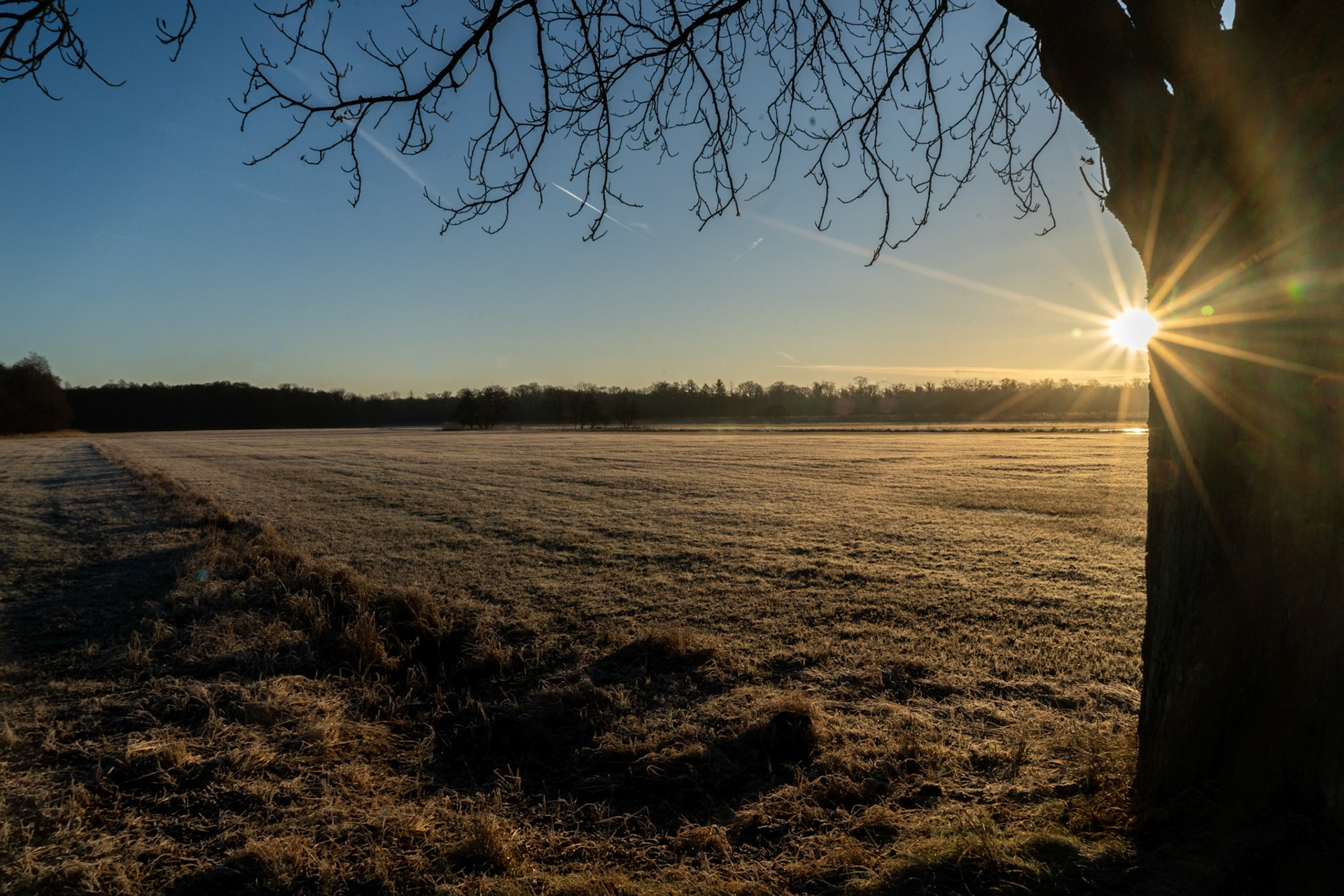 Januar