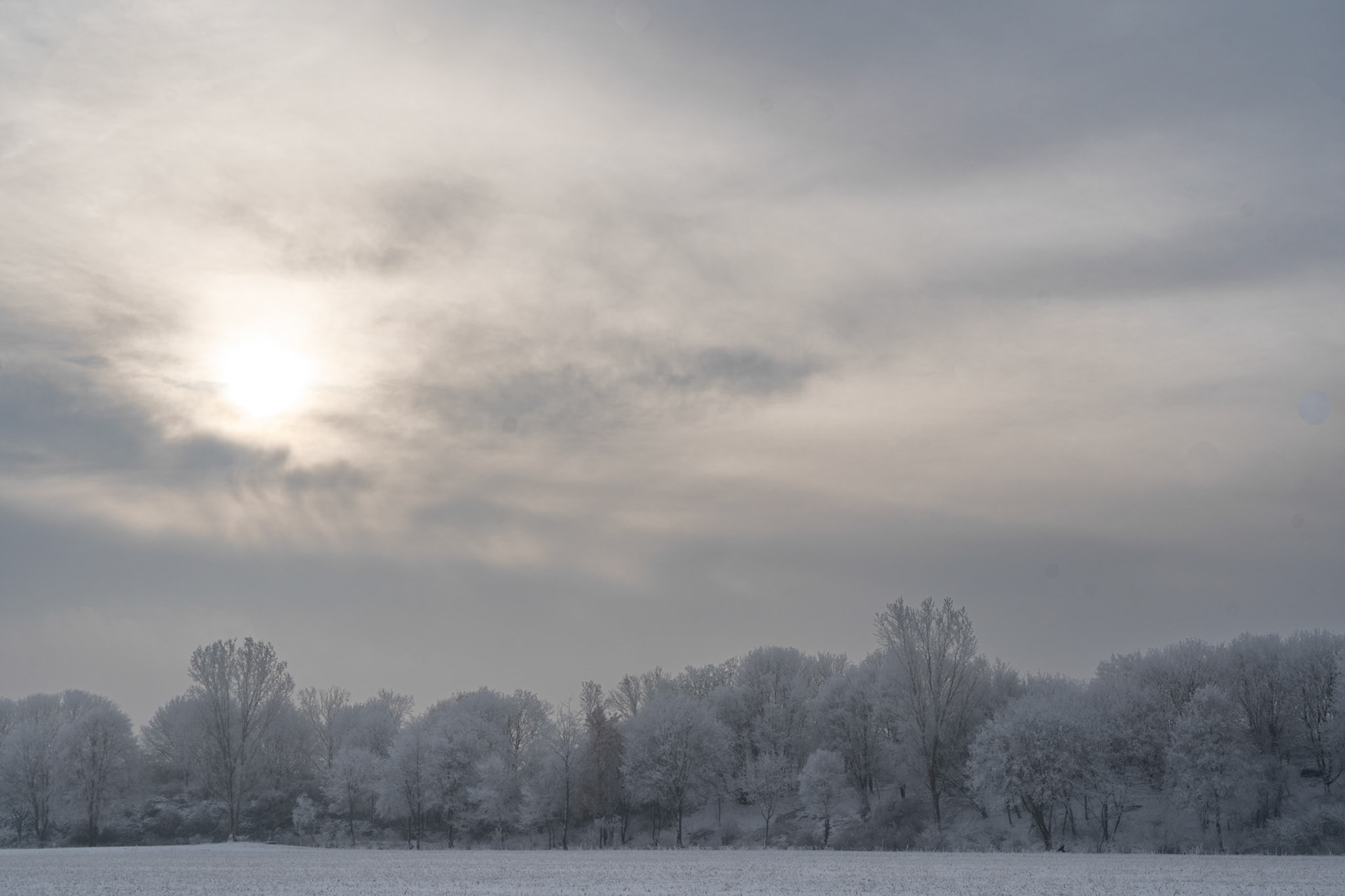 Januar
