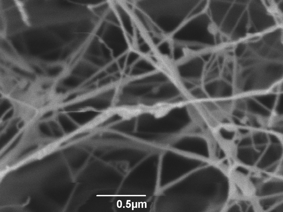 Cellulose in the laboratory microscope