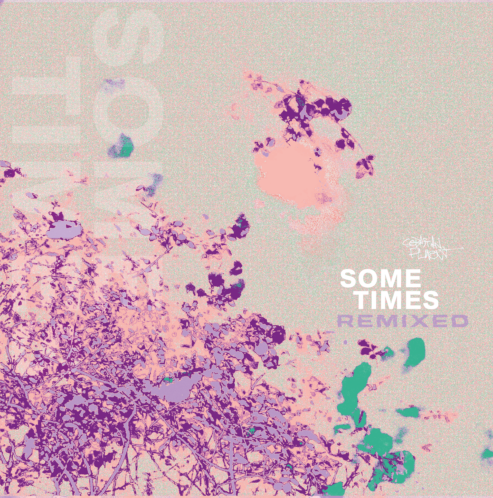Vinyl Cover Some Times Remixed - Seba Fluent 