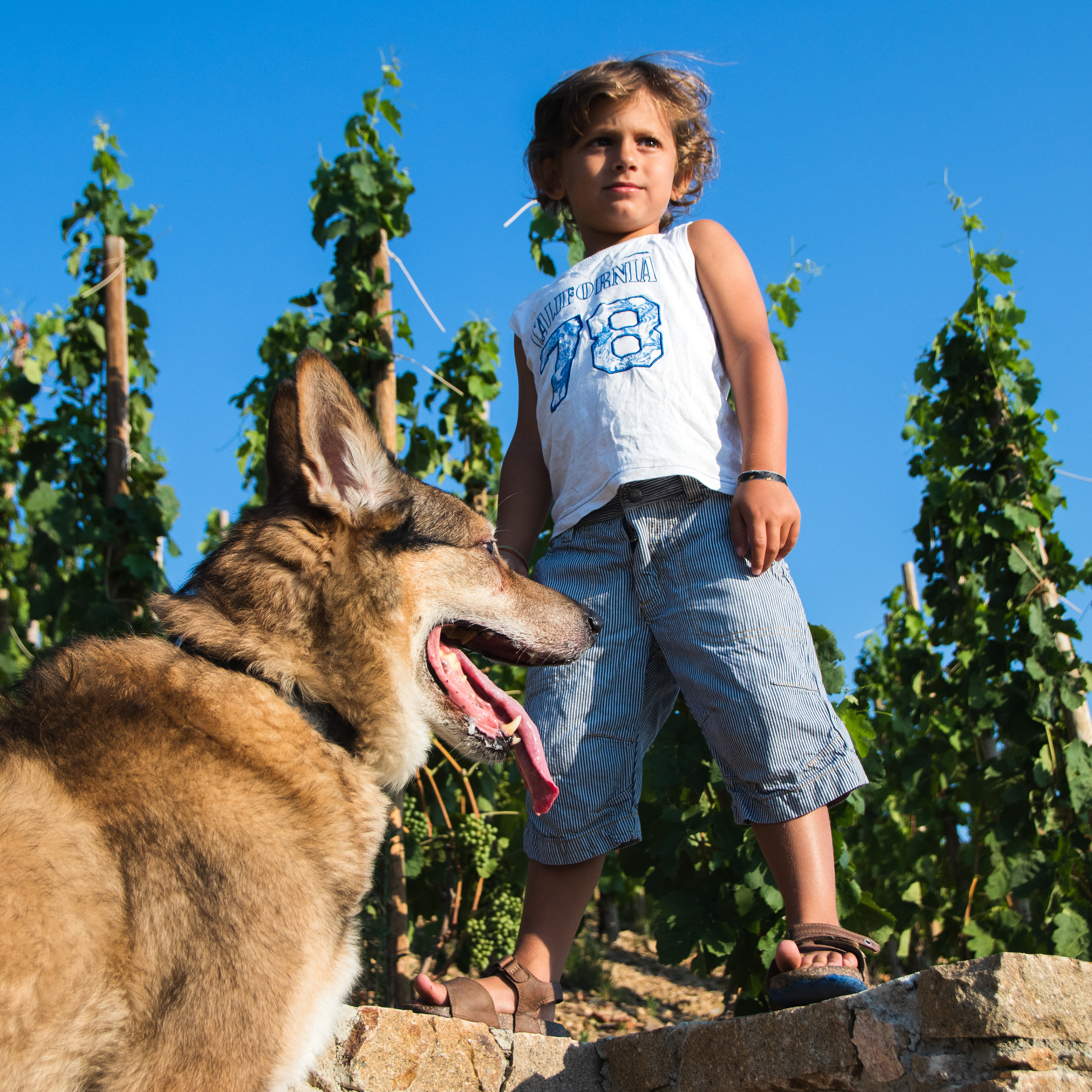 Samuel & Kawa