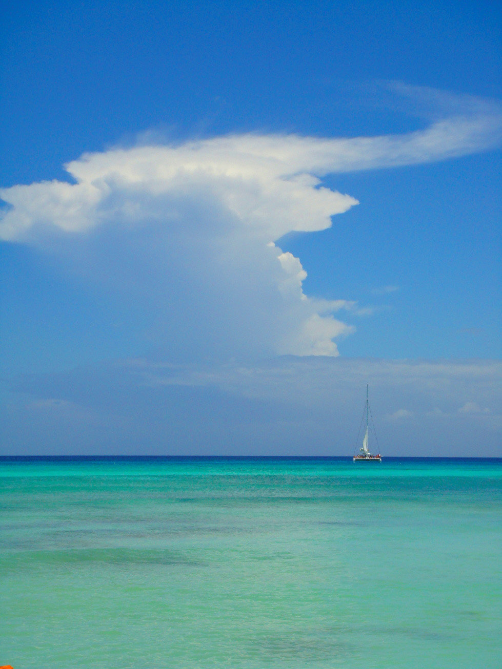 Paradise