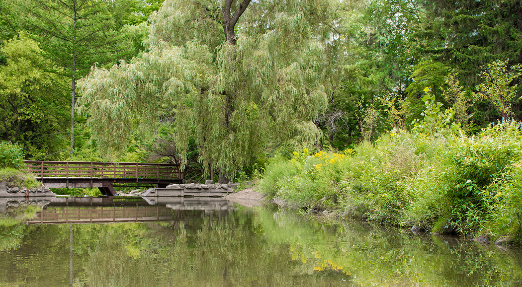 Toronto Botanical Gardens