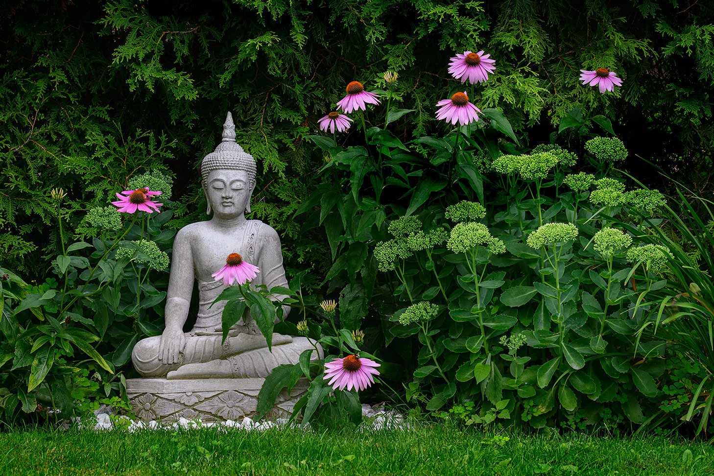My Zen Garden