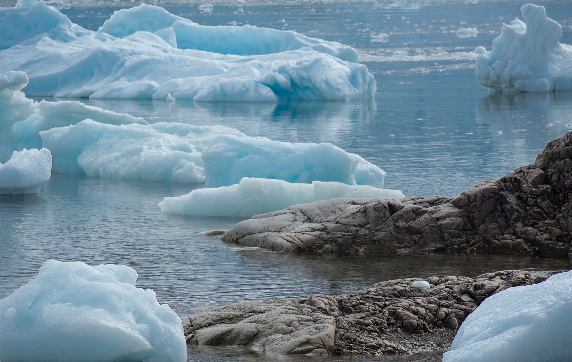 Incredible blues of ice - Antarctic Peninsula