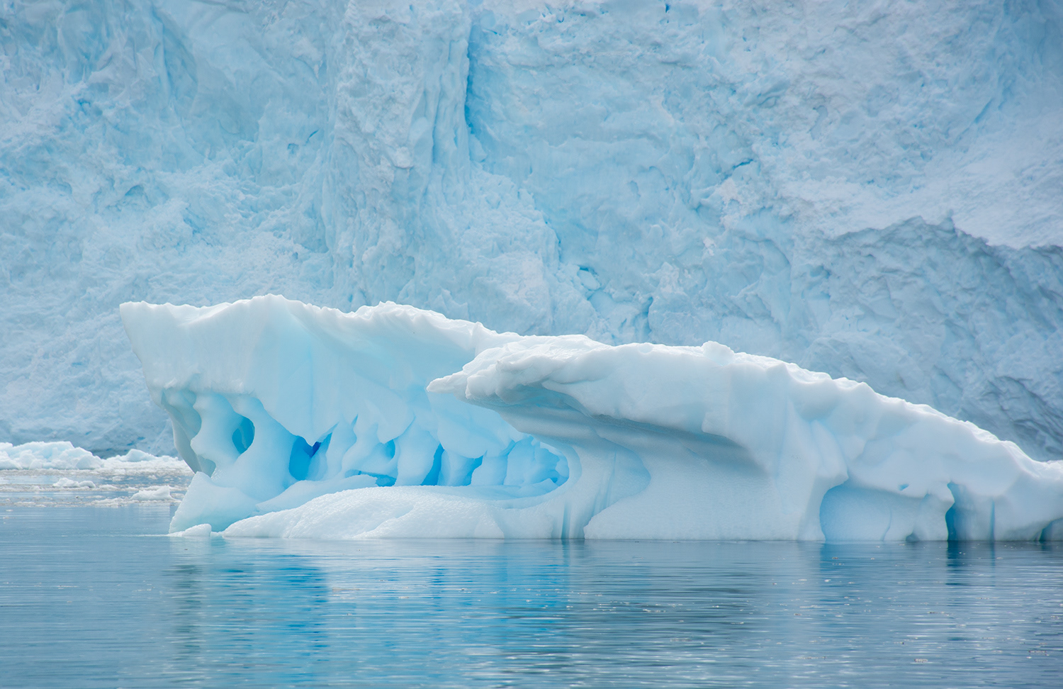 Glacier ice, Anarctic Peninsula