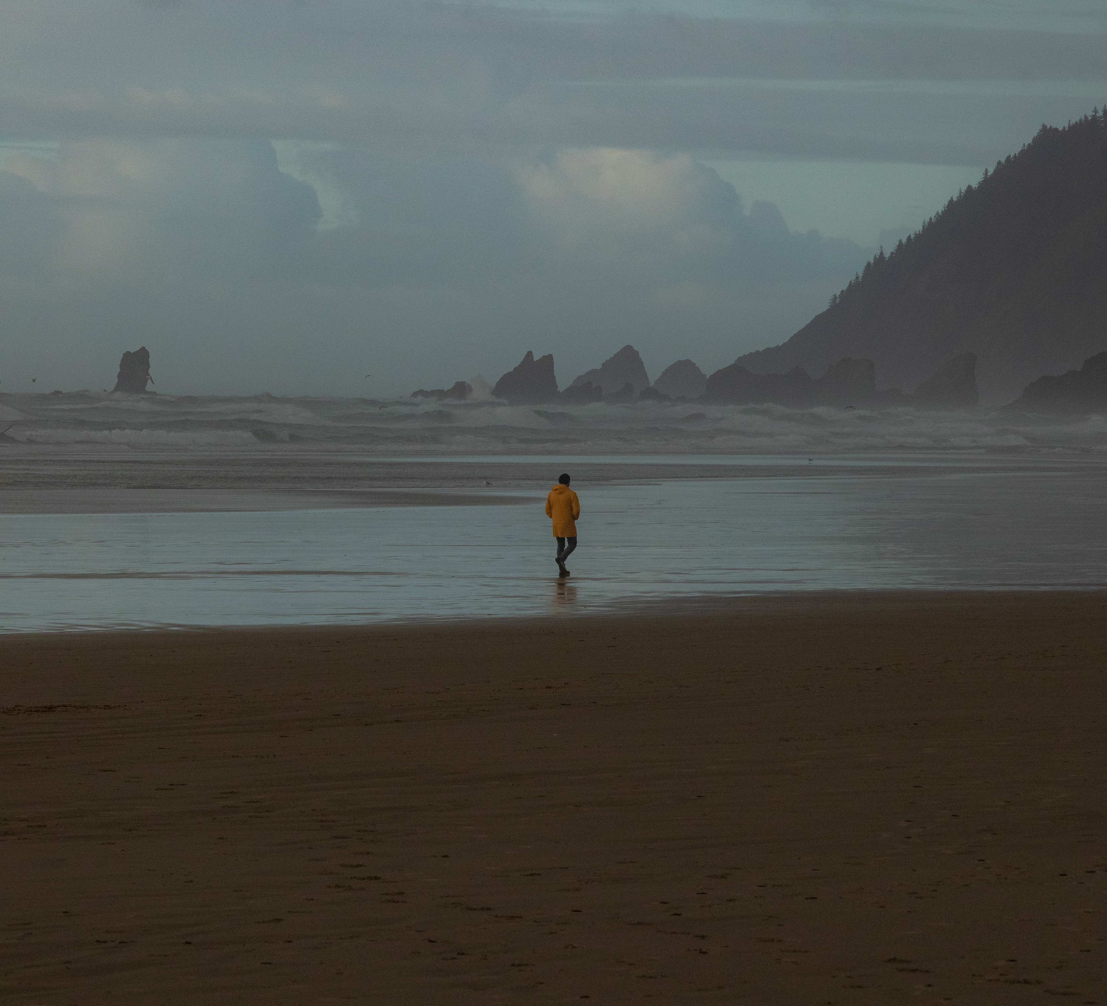 A stroll on the Beach