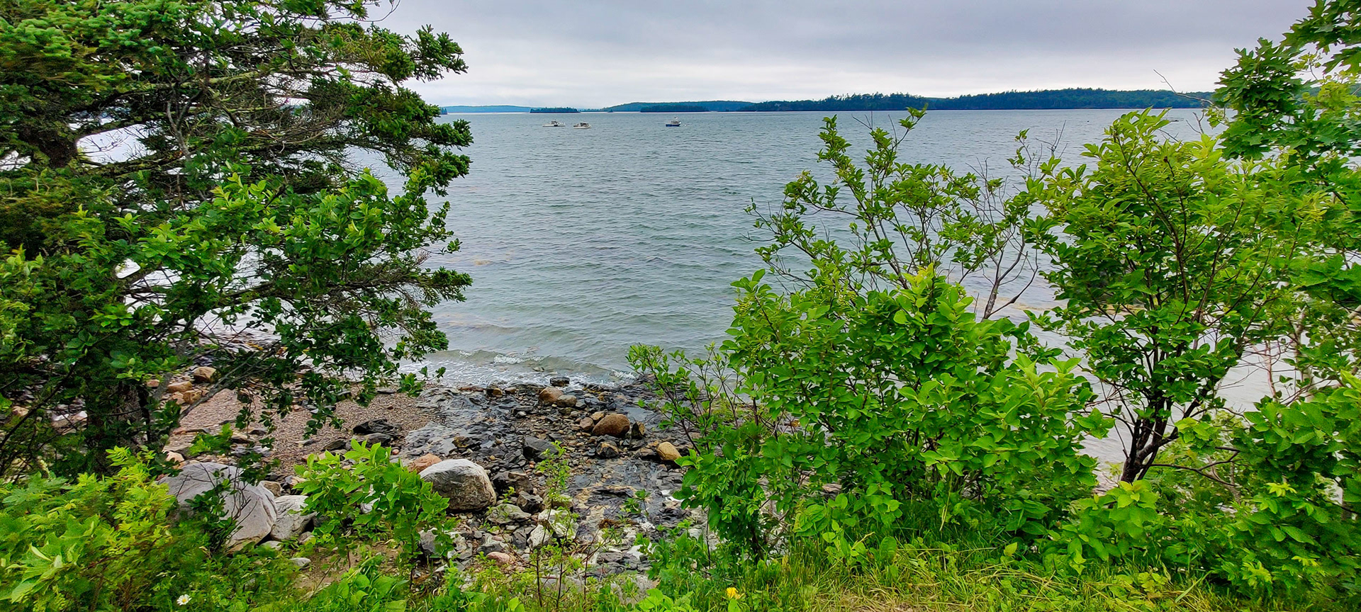 View from our ocean-front campsite