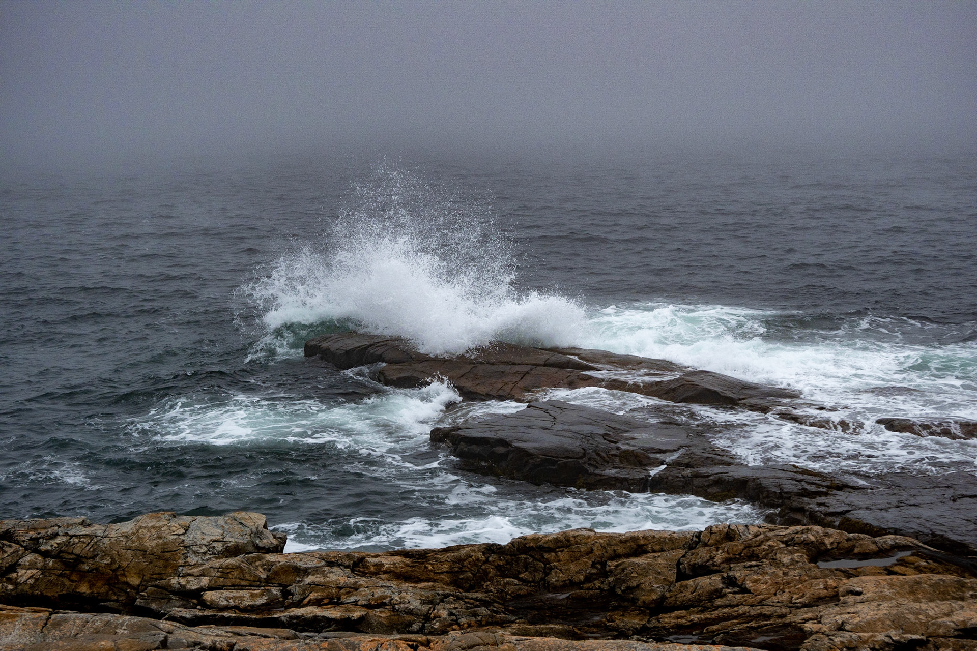 Schoodic Point