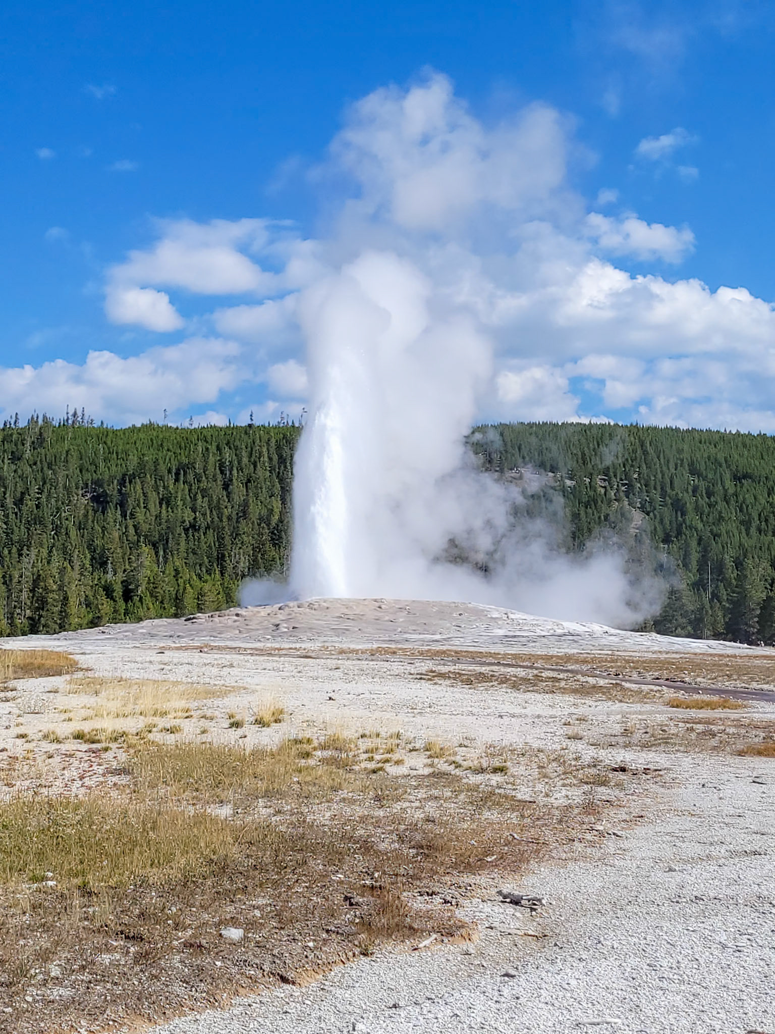 Old Faithful