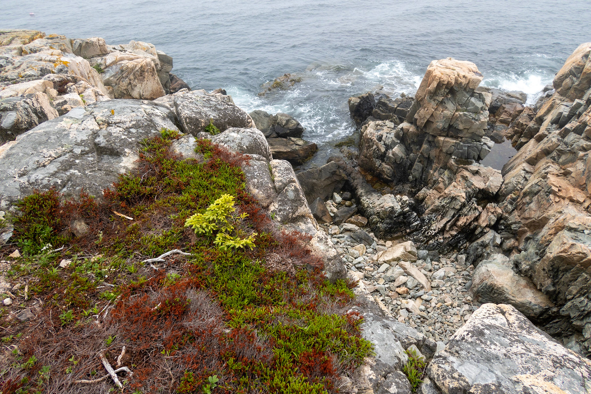 Schoodic Raven's Nest Trail