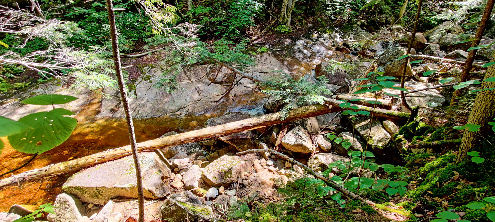 Avalanche Brook near RIpley Falls