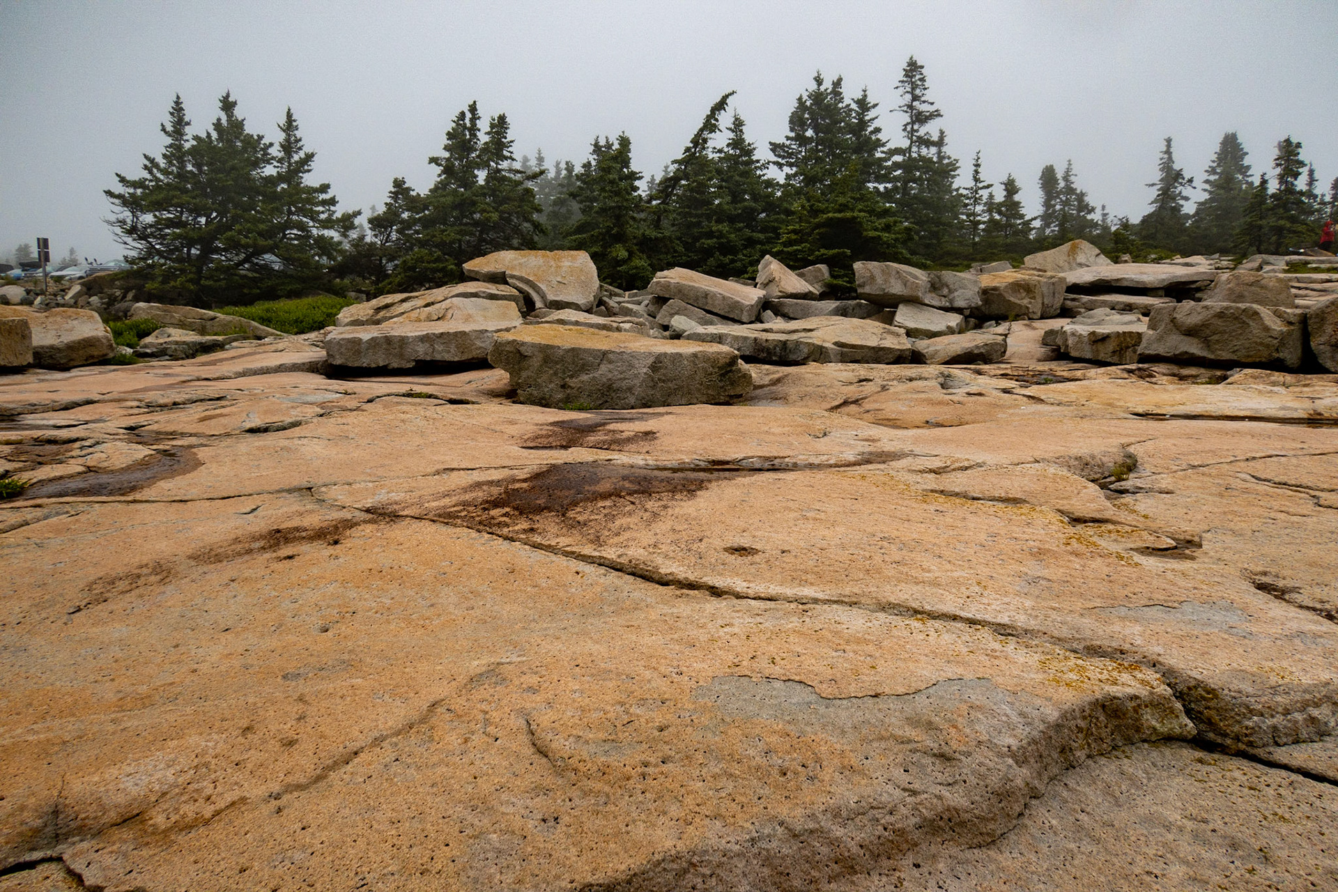 Schoodic Point