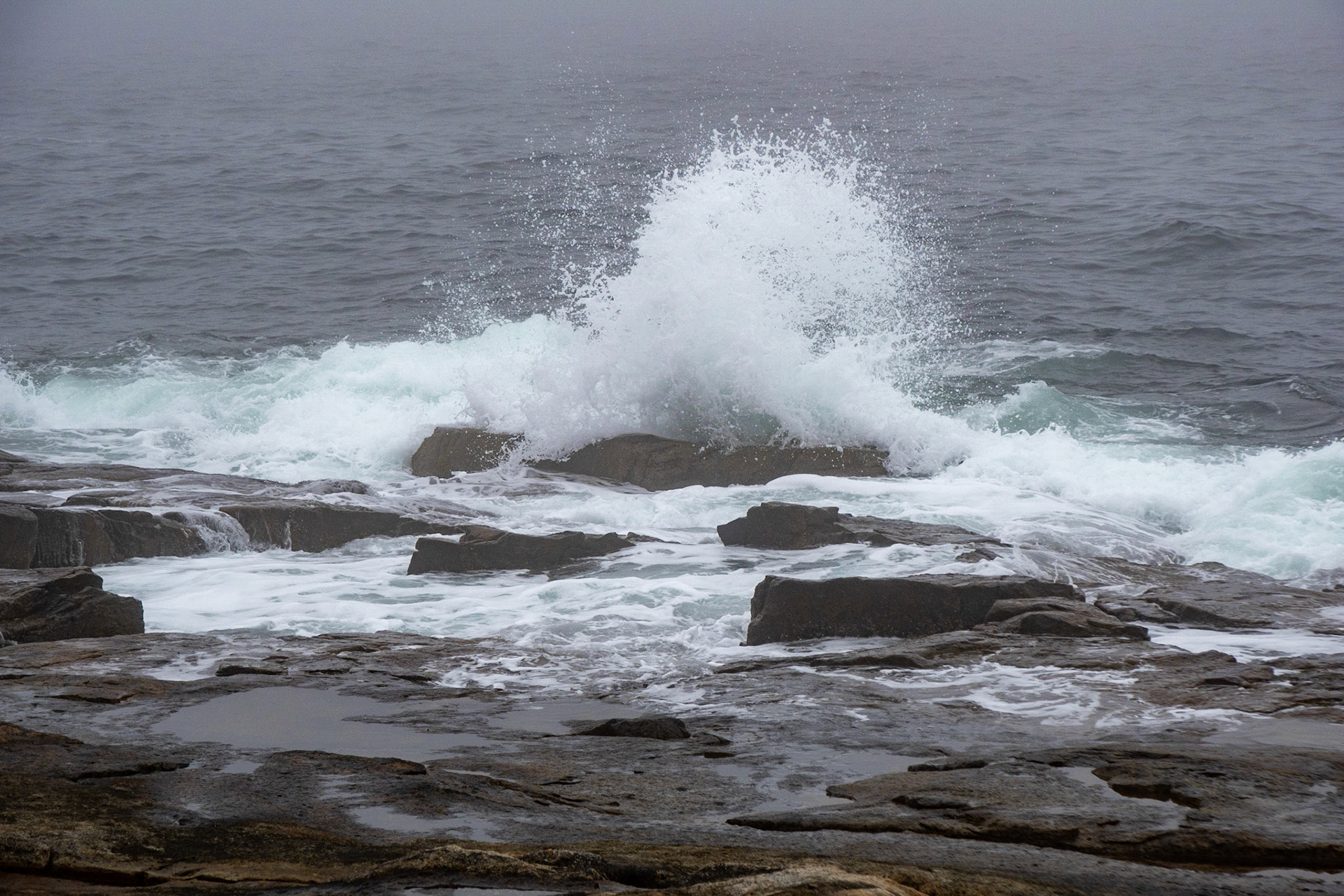 Schoodic Point