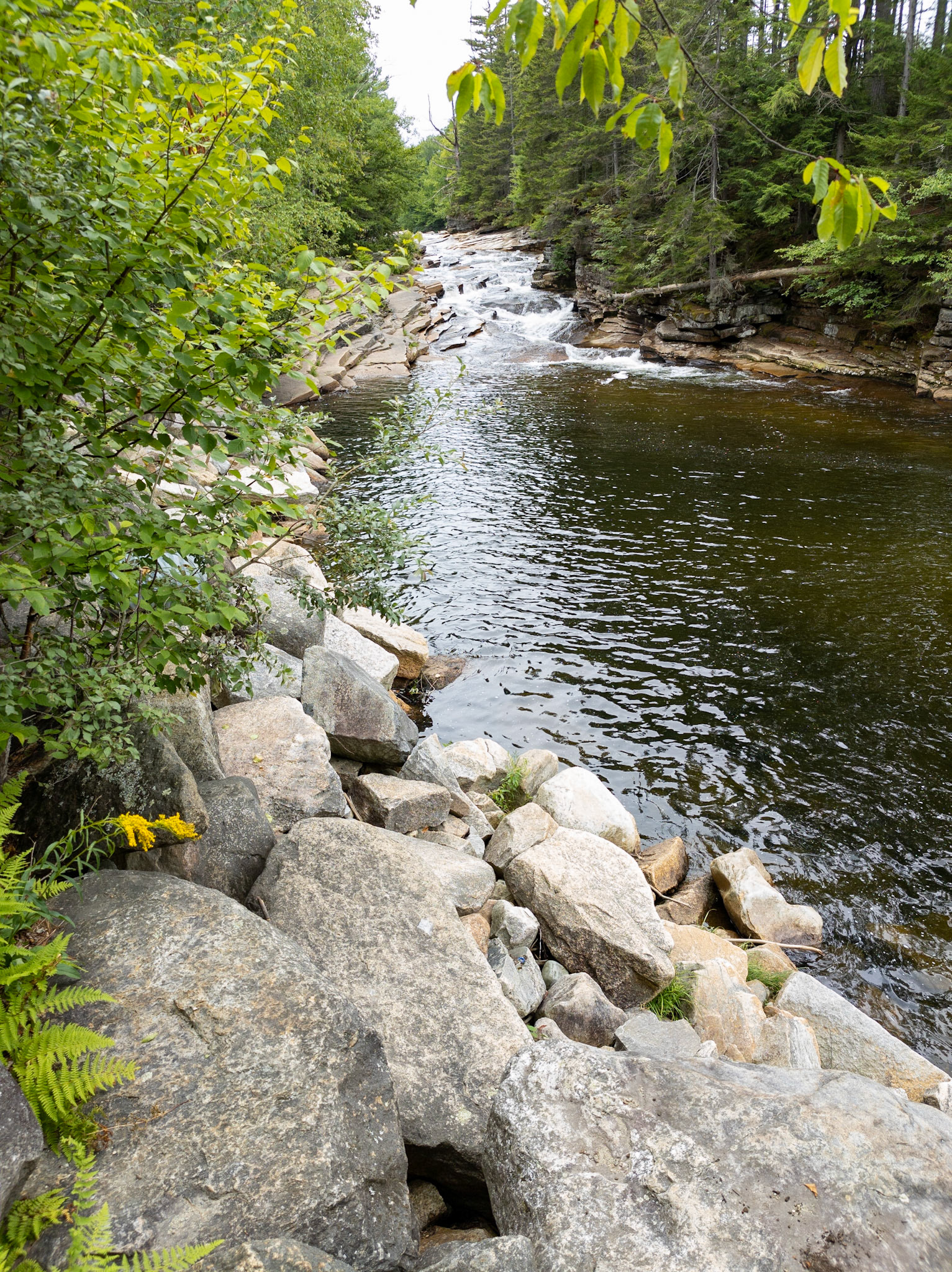 Lower Ammonoosuc Falls