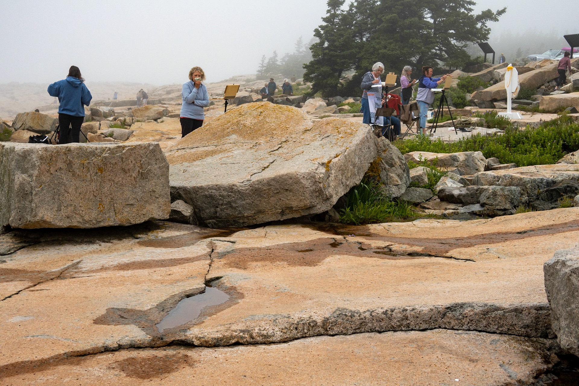 Schoodic Point, a painting class