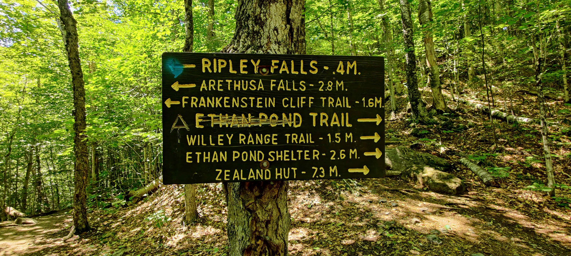 Ripley Falls Trail