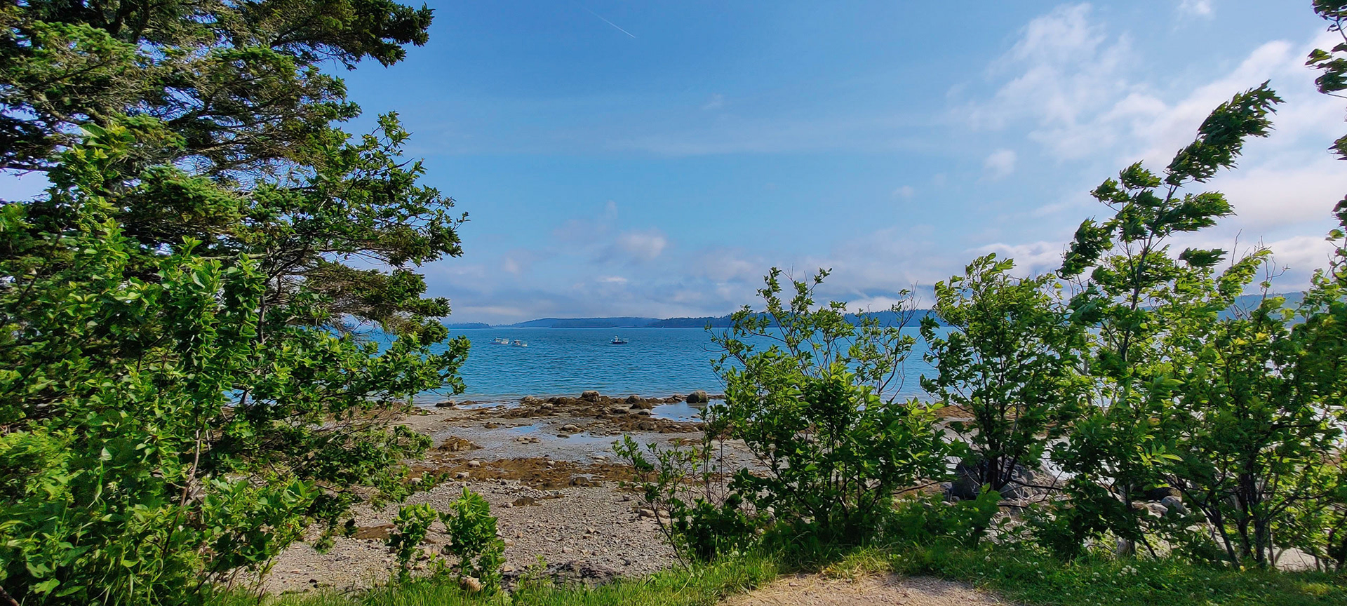 View from our ocean-front campsite