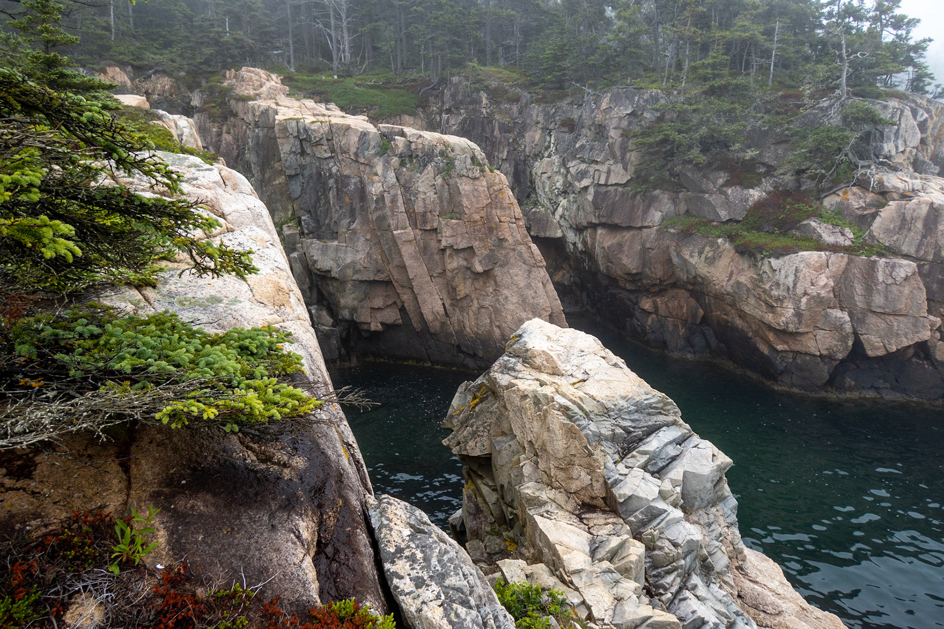 Schoodic Raven's Nest Trail