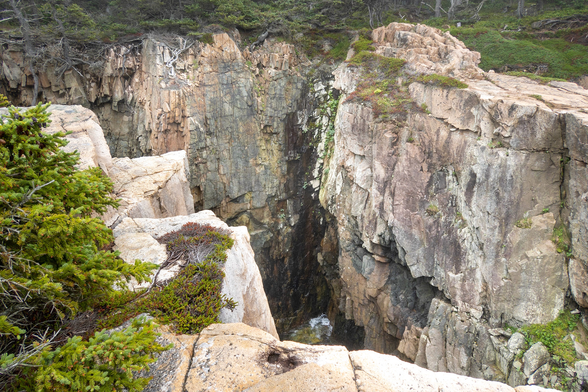 Schoodic Raven's Nest Trail