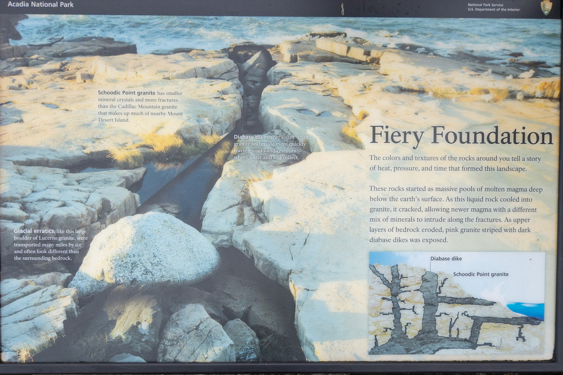 Schoodic Point