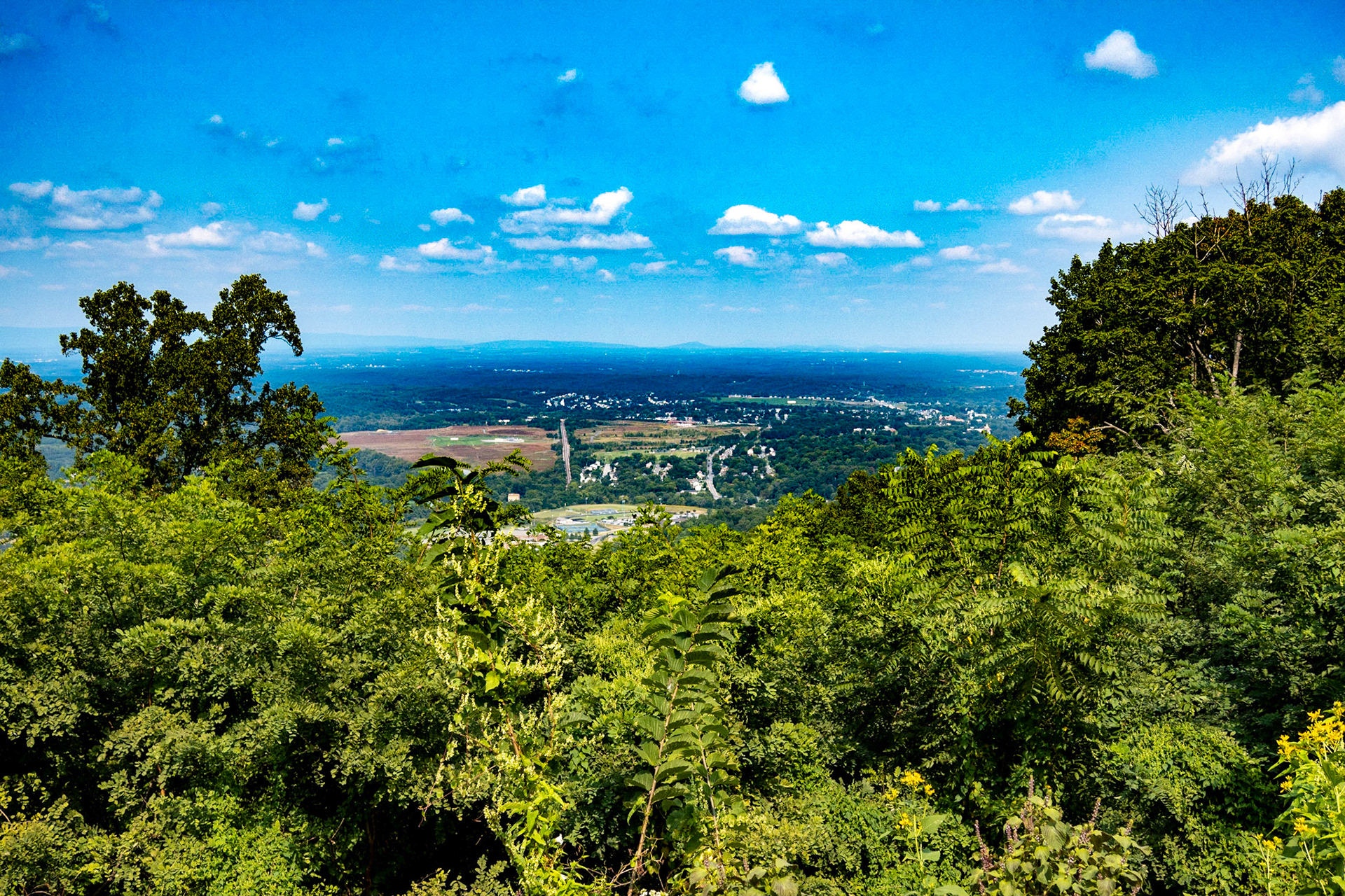 Skyline Drive - Shenandoah National Park