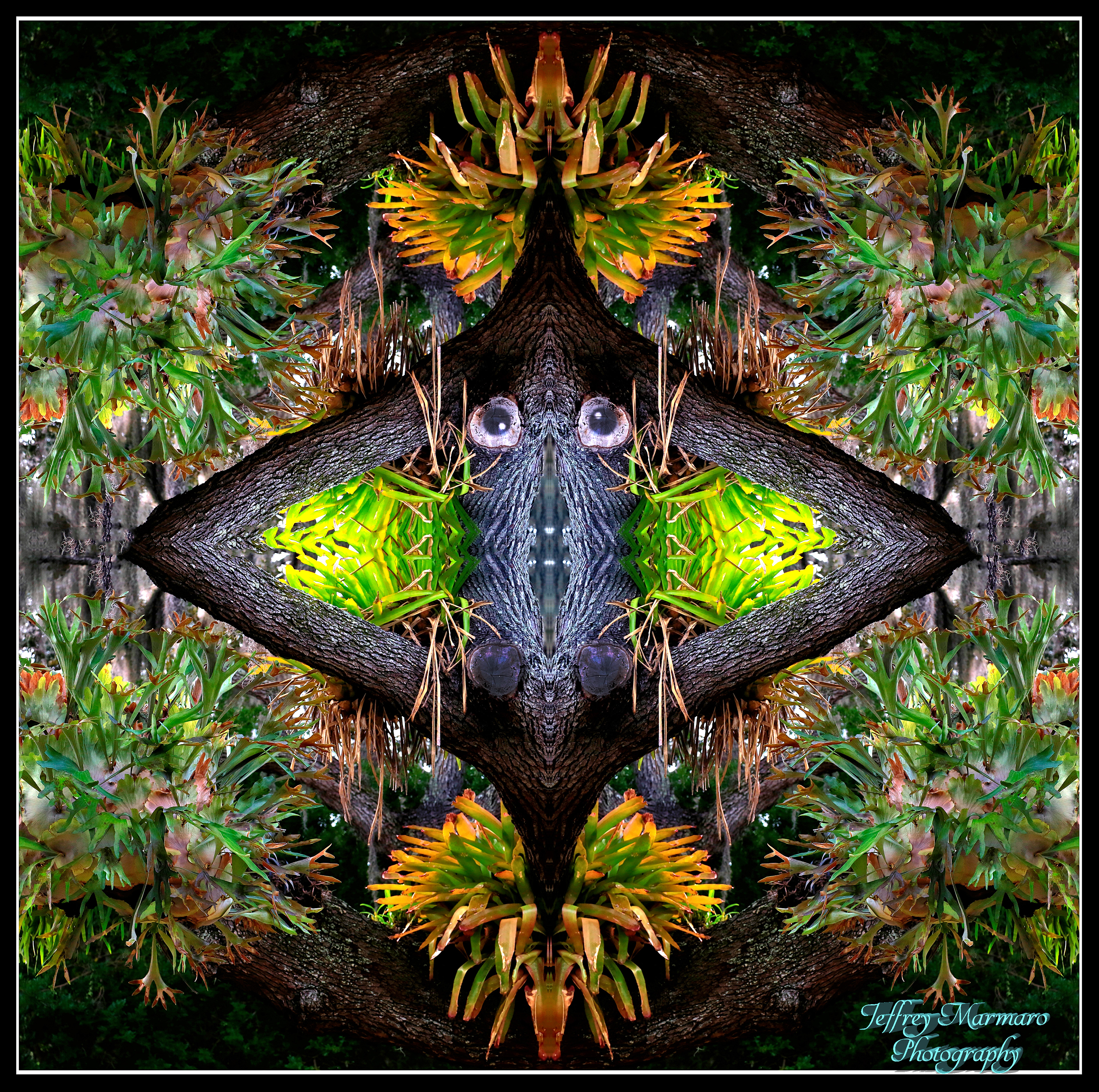 Trans-dimensional BogeyFlopper
