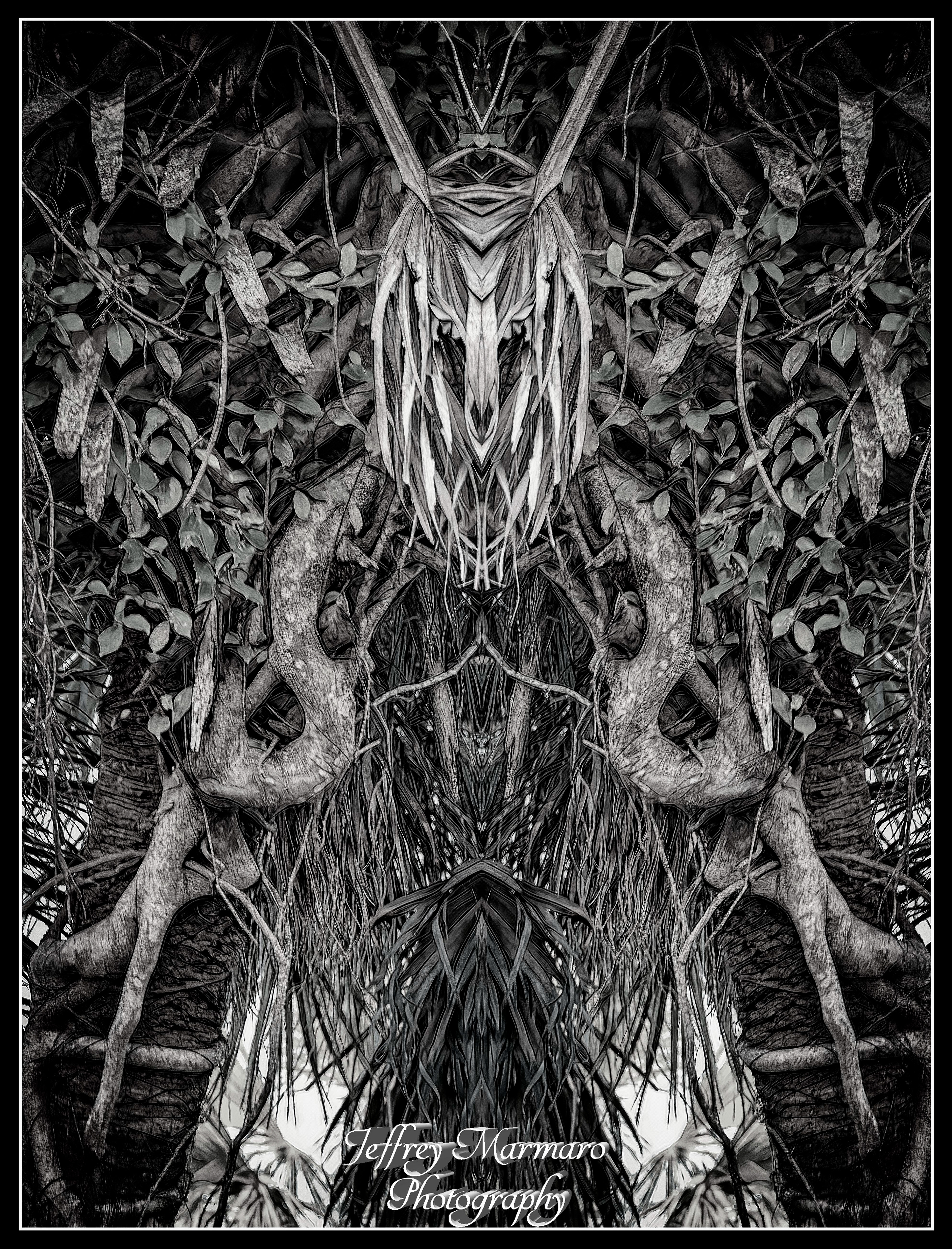Shaman (monochrome)