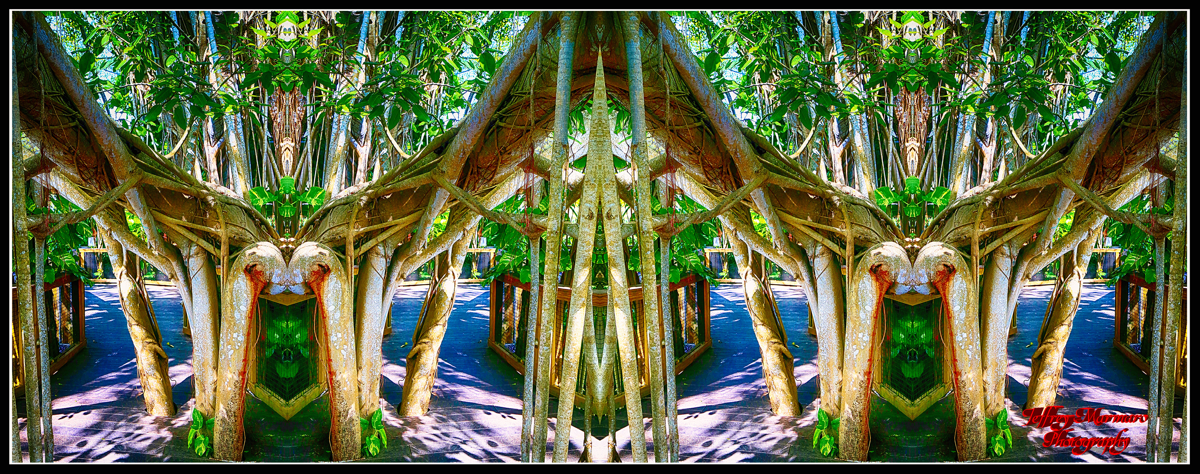 Enchanted Forest's Little-Known Employees' Entrance