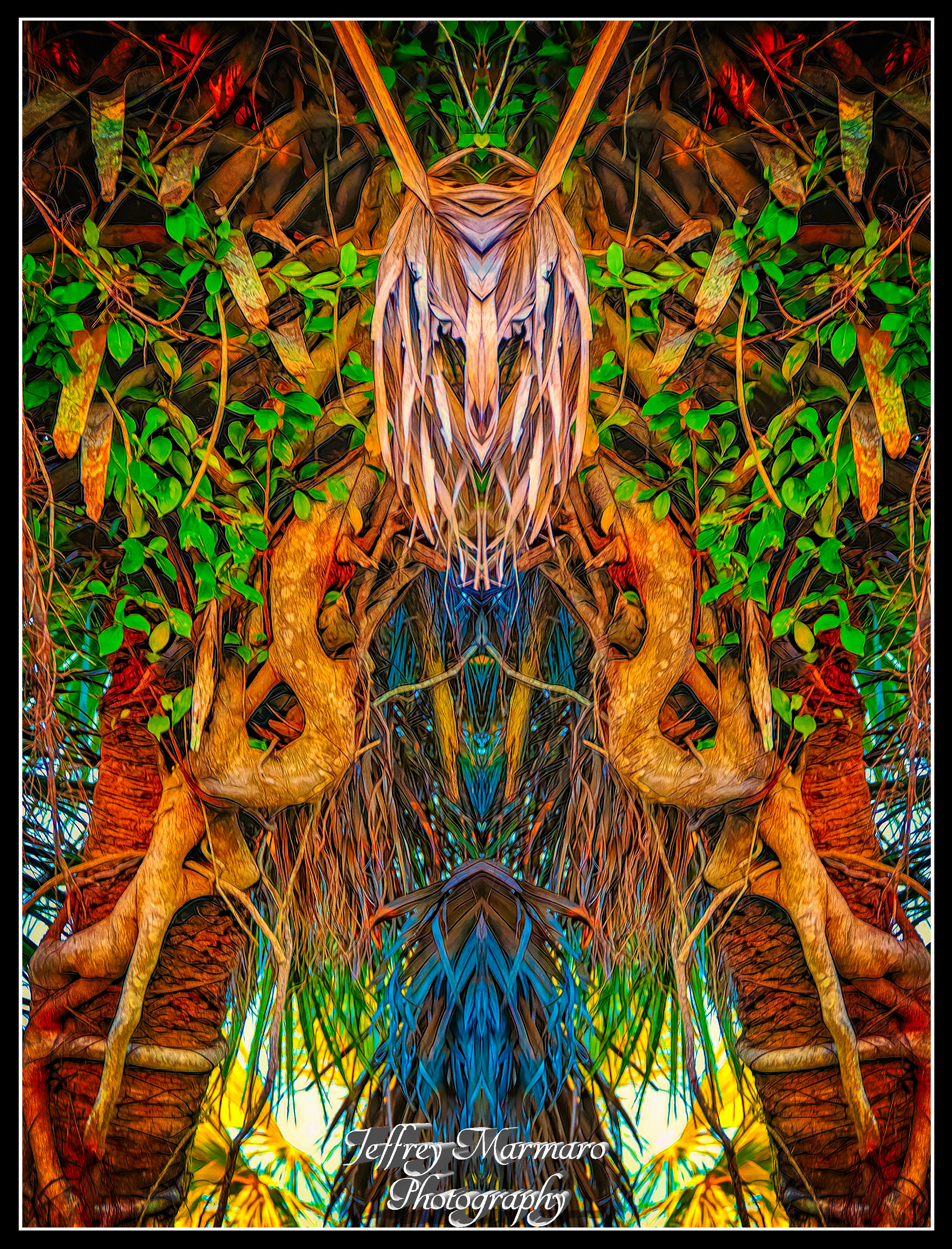 Shaman (full color)