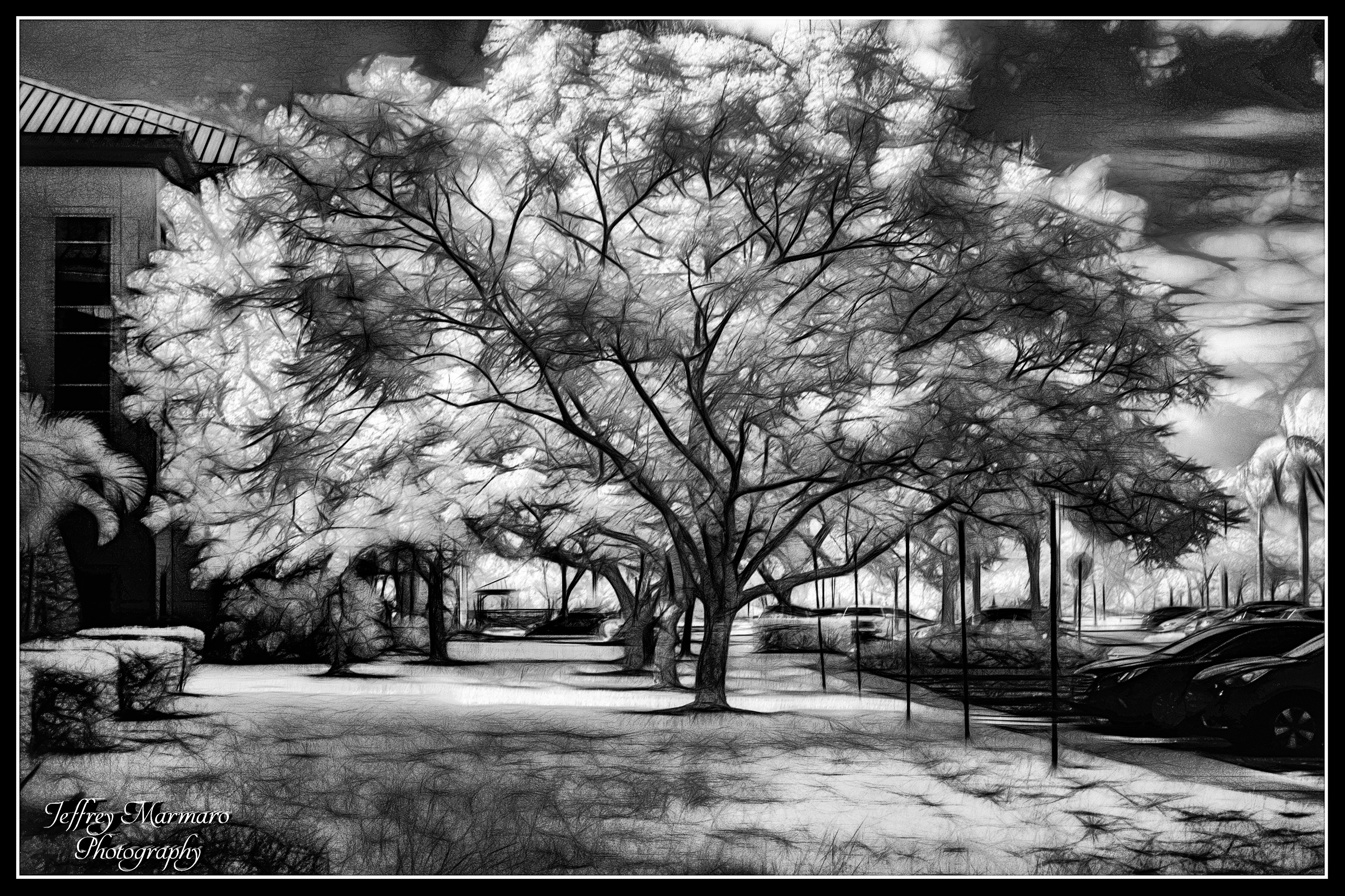 Neural Filter-Colorized Infrared Image 2G (1G Converted to Monochrome)