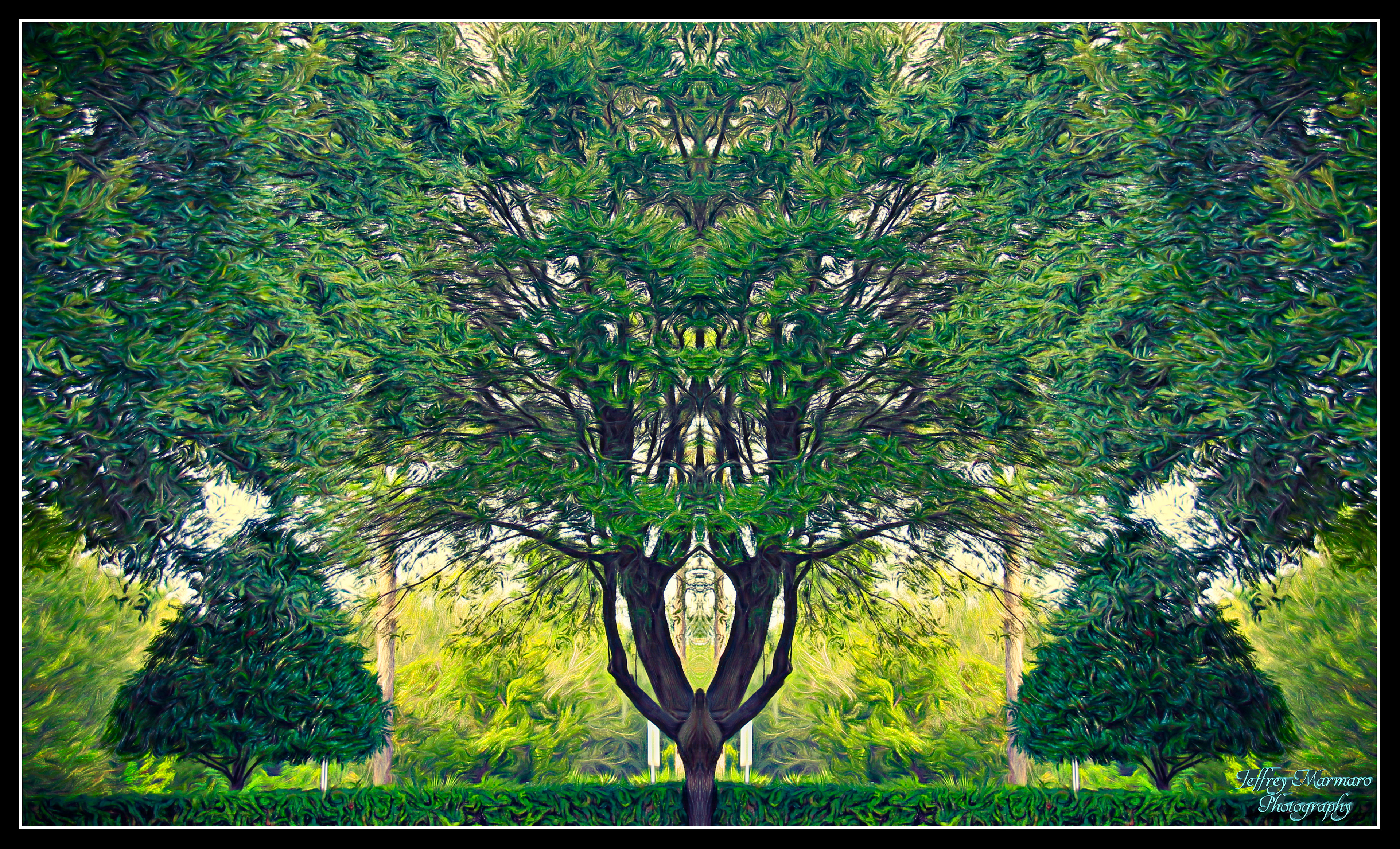 Seeing Green