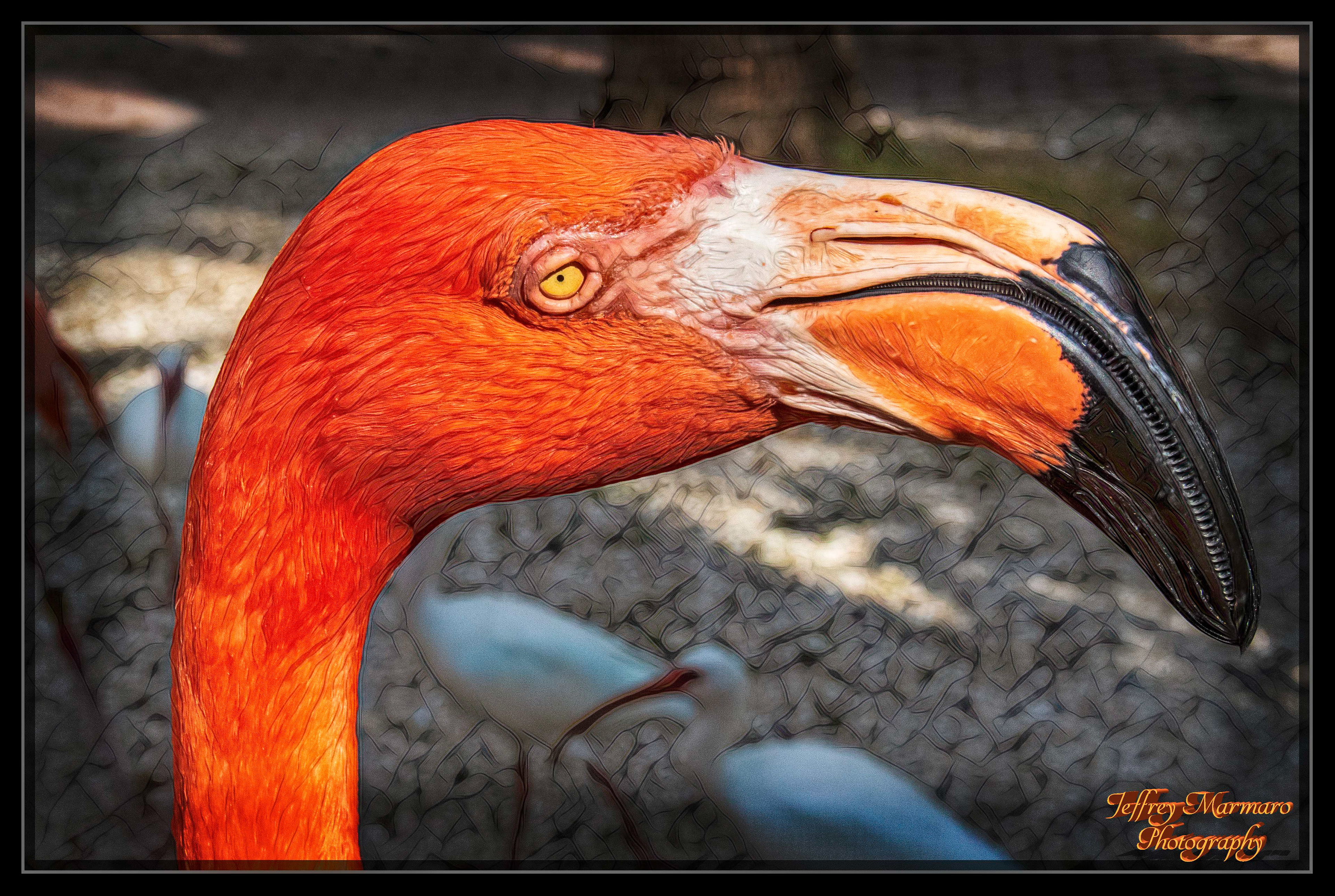 Flamingo Profile