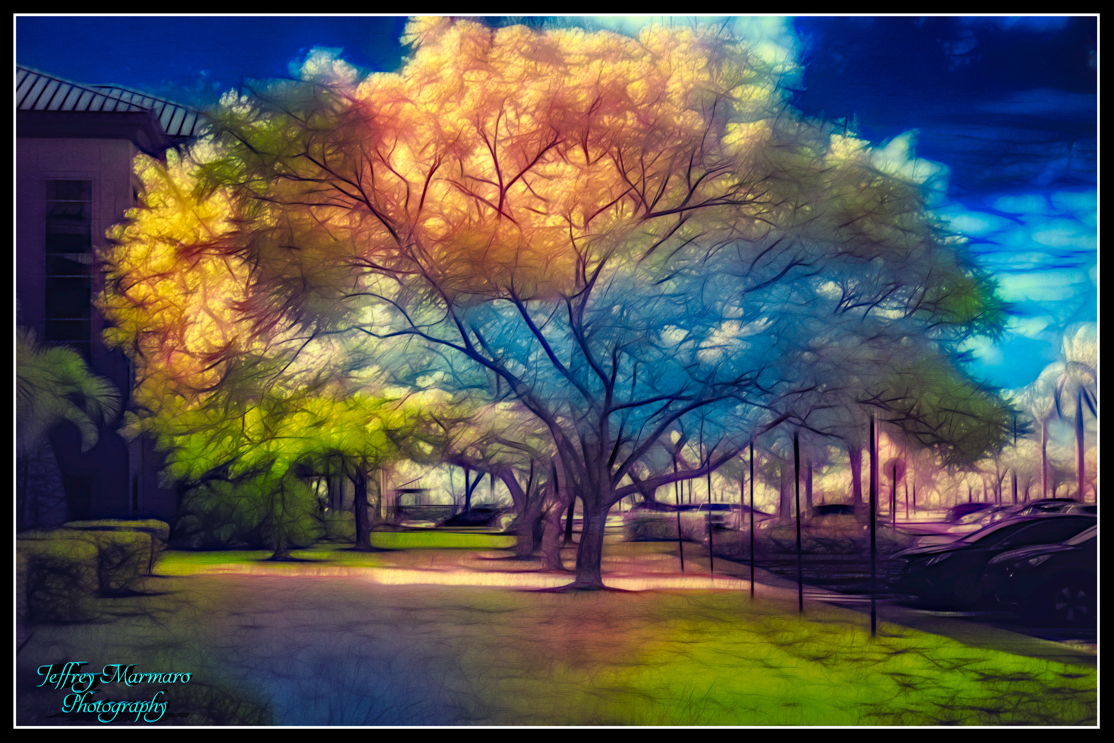 Neural Filter-Colorized Infrared Image 3G (2G Re-Colorized using a Neural Filter)