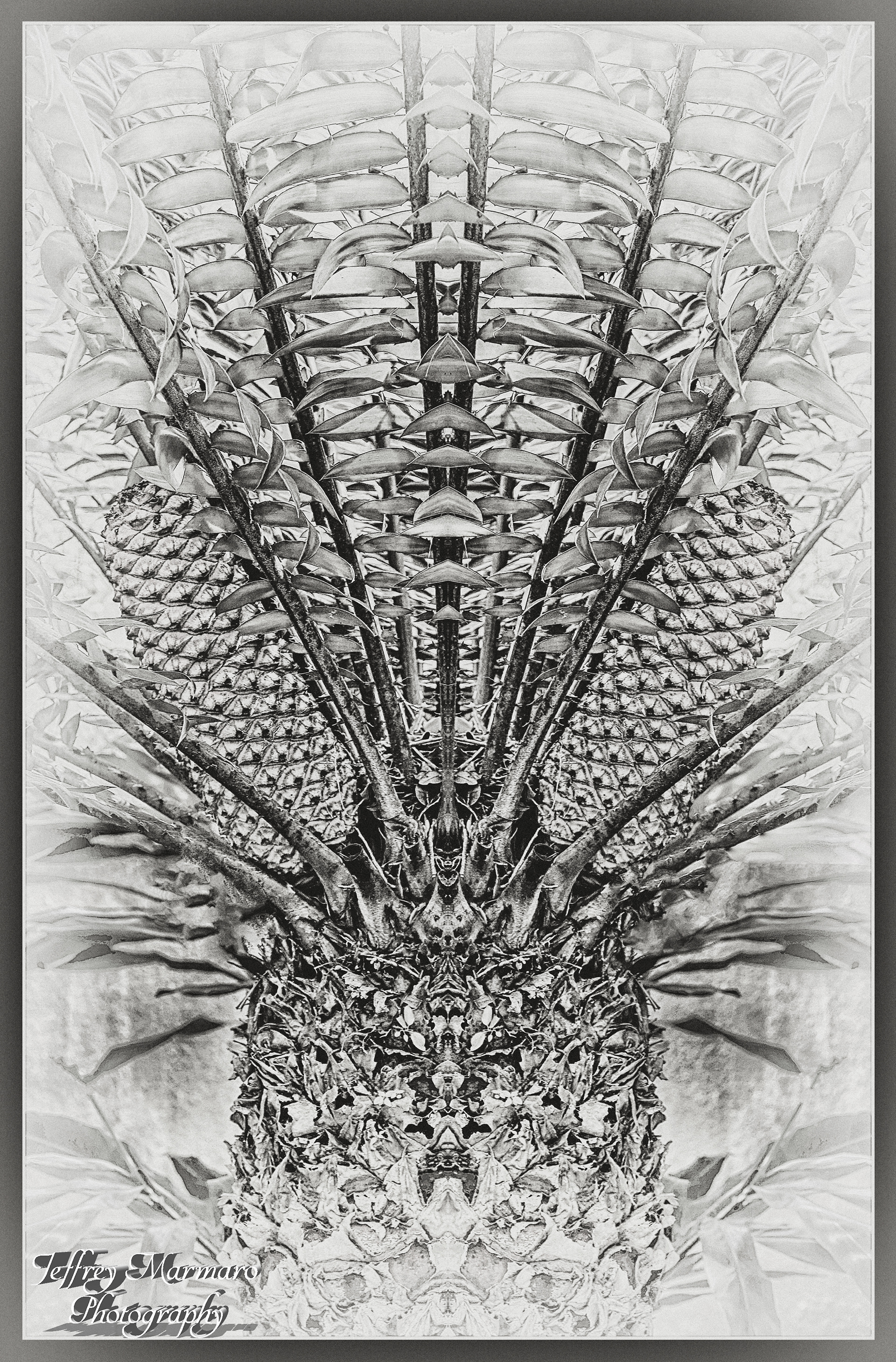 Tribute to Albrecht Durer